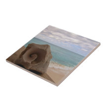 Island Seashell on the Beach Nature Photography Ceramic Tiles