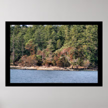 Island Shoreline Poster