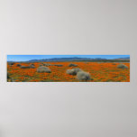 Islands posters