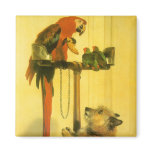 Islay, Tilco, a Macaw and 2 Love Birds by Landseer magnets