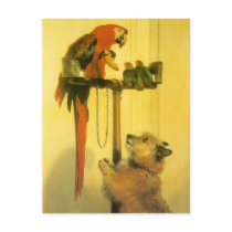 Islay, Tilco, a Macaw and 2 Love Birds by Landseer Post Cards