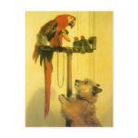 Islay, Tilco, a Macaw and 2 Love Birds by Landseer postcards