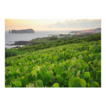 Islet and Vineyards Invitations