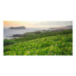 Islet and Vineyards Customized Photo Card