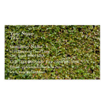 Isolated Plant head against white background Business Card Templates