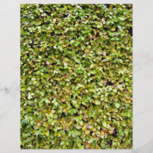 Isolated Plant head against white background Flyer Design