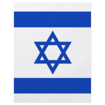 Israel Flag Flyer