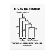 It Can Be Argued That We All Descended From Her
