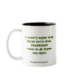 It doesn't matter mug