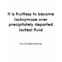 It is fruitless to become lachrymose over preci... t-shirts