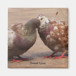 It must be love fridge magnets