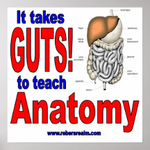 it takes guts anatomy posters