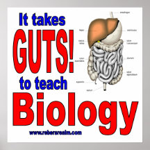 it takes guts biology print