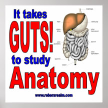 it takes guts to study anatomy poster