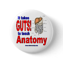 It takes GUTS to teach anatomy Pinback Buttons