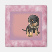 It Was Love At First Sight Fridge Magnet