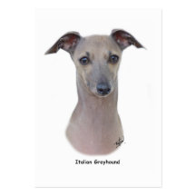 Italian Greyhound 9K75D-11 Business Cards