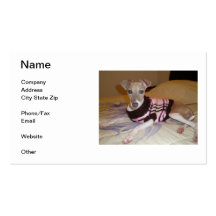 Italian Greyhound Business Card
