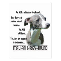 Italian Greyhound FAQ Postcard