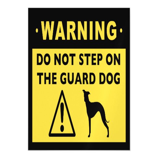 Greyhound discount coupon