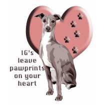 Italian Greyhound Pawprints Tee Shirts
