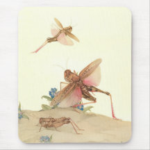 ITALIAN LOCUSTS 2 MOUSEPADS