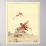ITALIAN LOCUSTS - Insect Book Illustration posters