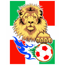 Italian,Mexican or Hungarian Soccer Lion t-shirts