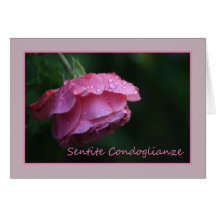 italian Sympathy Sentite Condoglianze Greeting Cards
