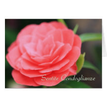 italian Sympathy Sentite Condoglianze Greeting Card