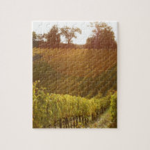 Italian vineyard in Tuscany Puzzles