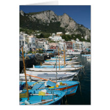 ITALY, Campania, (Bay of Naples), CAPRI: Marina Card