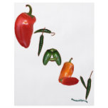 Italy Chilli Peppers flyers