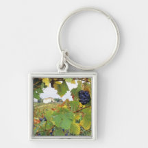 Italy, Tuscany Farmhouse viewed through Key Chain