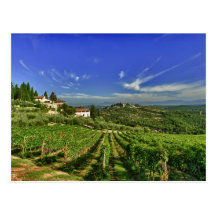 Italy, Tuscany, Greve. The vineyards of Castello Post Card