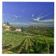 Italy, Tuscany, Greve. The vineyards of Castello Tiles