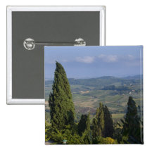 Italy, Tuscany, Montepulciano. View of the Pins