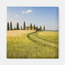 Italy, Tuscany, Tuscan Villa nearing Harvest. Refrigerator Magnets