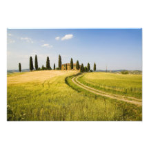 Italy, Tuscany, Tuscan Villa nearing Harvest. Photo