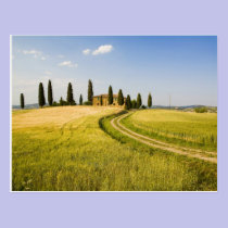 Italy, Tuscany, Tuscan Villa nearing Harvest. postcards