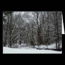 "It's A Beautiful Winter" cards