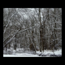 It's A Beautiful Winter posters