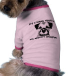 It's a Border Terrier Thing