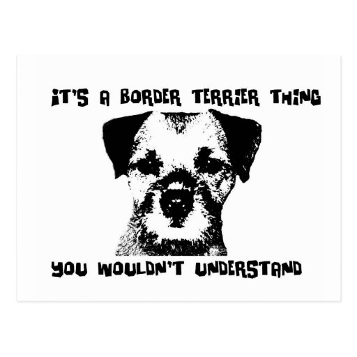 It's a Border Terrier thing ... Postcard