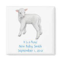 Its a Boy Customisable Lamb Magnet