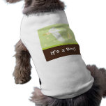 It's a Boy! Dog Tank - Green/Brown pet clothing