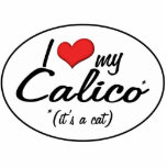 It's a Cat! I Love My Calico photo sculptures