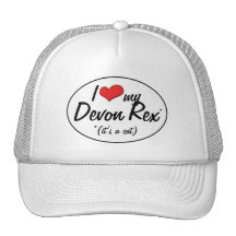 It's a Cat! I Love My Devon Rex Trucker Hats