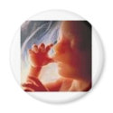 It's a Child.......Not a Choice!! magnets