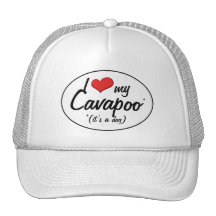 It's a Dog! I Love My Cavapoo Mesh Hat